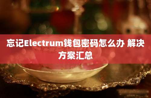 忘记Electrum钱包密码怎么办 解决方案汇总