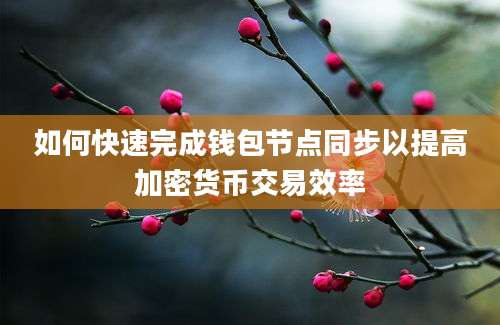 如何快速完成钱包节点同步以提高加密货币交易效率