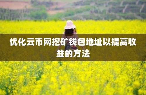 优化云币网挖矿钱包地址以提高收益的方法