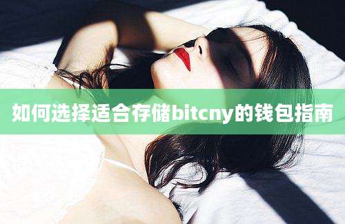 如何选择适合存储bitcny的钱包指南