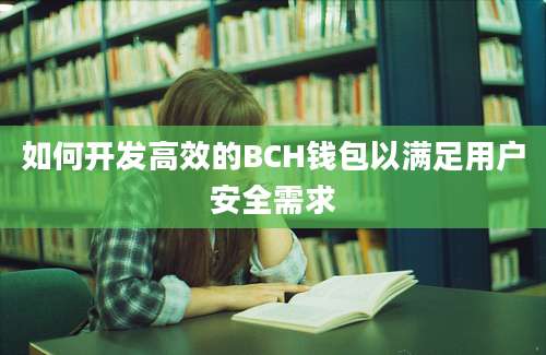 如何开发高效的BCH钱包以满足用户安全需求