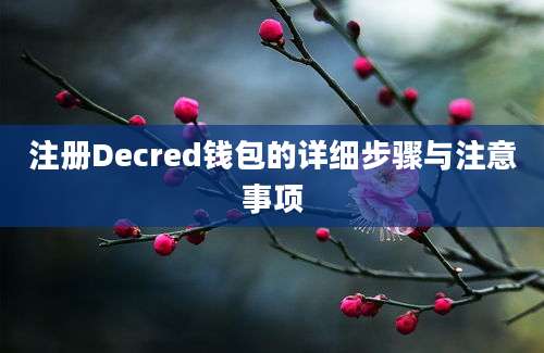 注册Decred钱包的详细步骤与注意事项