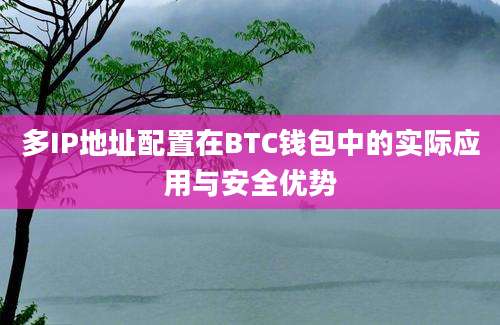 多IP地址配置在BTC钱包中的实际应用与安全优势