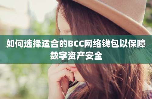 如何选择适合的BCC网络钱包以保障数字资产安全