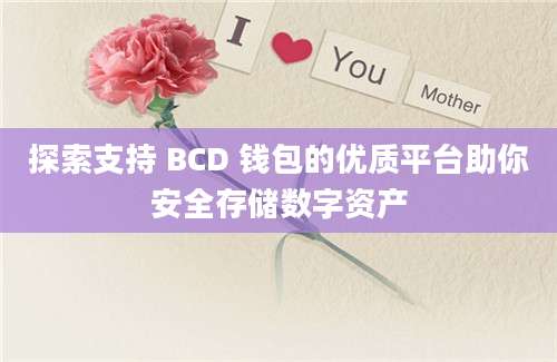 探索支持 BCD 钱包的优质平台助你安全存储数字资产