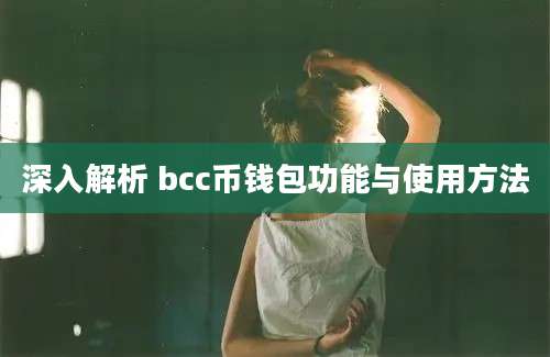 深入解析 bcc币钱包功能与使用方法