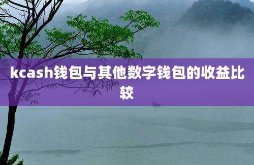 kcash钱包与其他数字钱包的收益比较