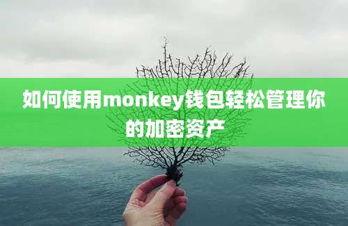 如何使用monkey钱包轻松管理你的加密资产