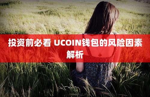 投资前必看 UCOIN钱包的风险因素解析