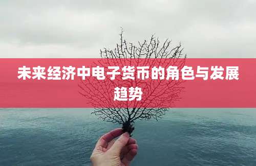 未来经济中电子货币的角色与发展趋势