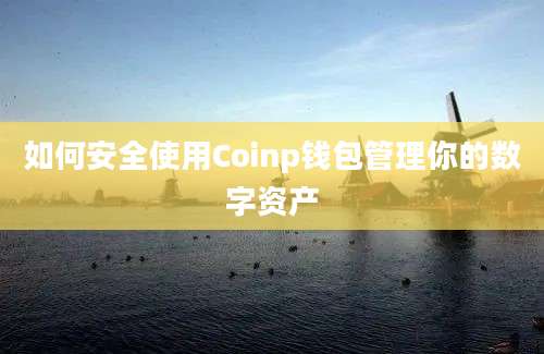 如何安全使用Coinp钱包管理你的数字资产