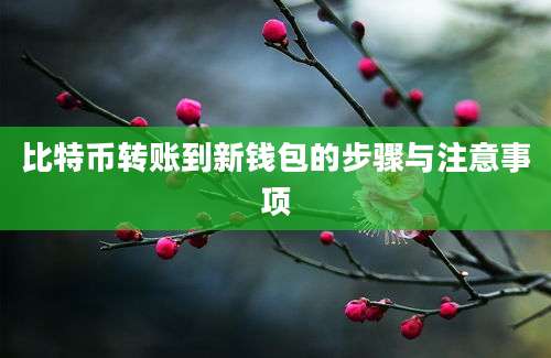 比特币转账到新钱包的步骤与注意事项