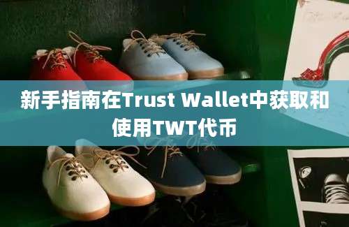 新手指南在Trust Wallet中获取和使用TWT代币