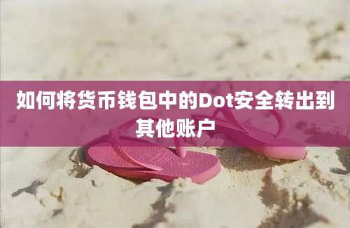 如何将货币钱包中的Dot安全转出到其他账户