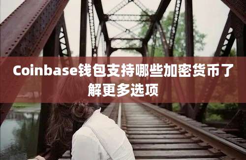 Coinbase钱包支持哪些加密货币了解更多选项