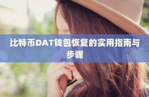 比特币DAT钱包恢复的实用指南与步骤