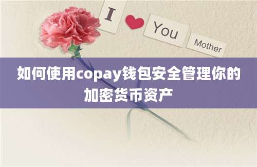 如何使用copay钱包安全管理你的加密货币资产