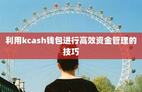 利用kcash钱包进行高效资金管理的技巧