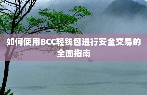 如何使用BCC轻钱包进行安全交易的全面指南