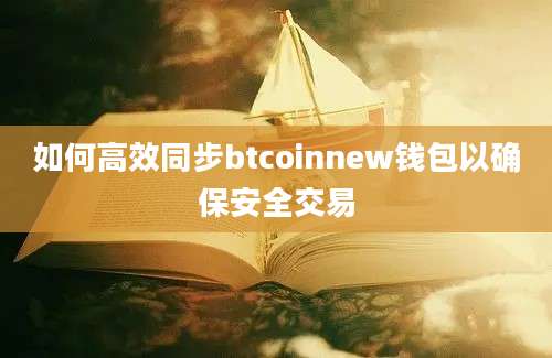 如何高效同步btcoinnew钱包以确保安全交易