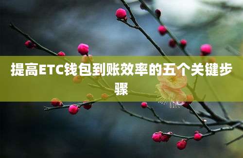 提高ETC钱包到账效率的五个关键步骤