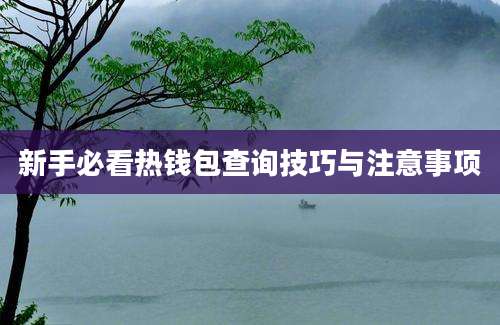 新手必看热钱包查询技巧与注意事项