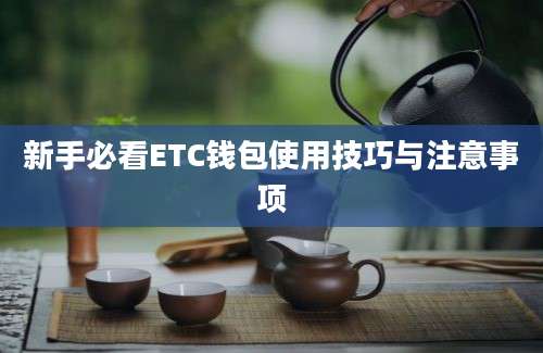 新手必看ETC钱包使用技巧与注意事项