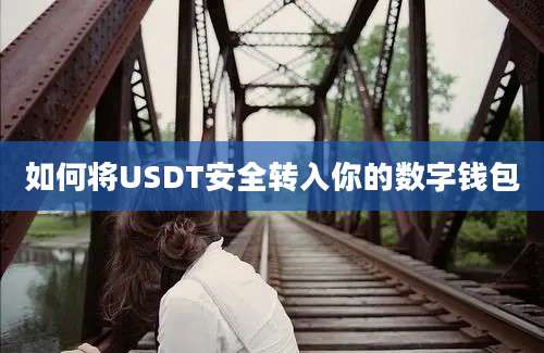 如何将USDT安全转入你的数字钱包