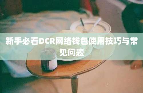 新手必看DCR网络钱包使用技巧与常见问题