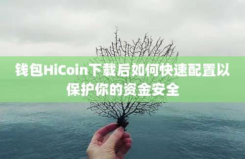 钱包HiCoin下载后如何快速配置以保护你的资金安全