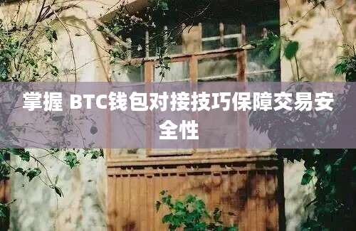 掌握 BTC钱包对接技巧保障交易安全性