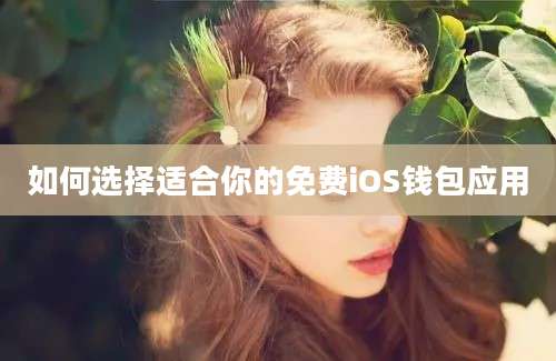 如何选择适合你的免费iOS钱包应用