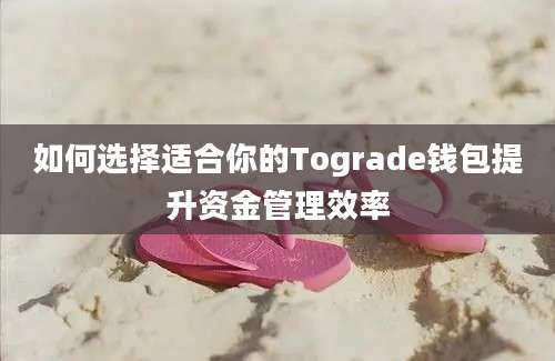 如何选择适合你的Tograde钱包提升资金管理效率