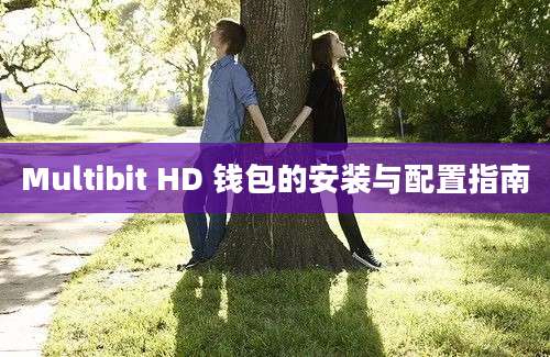 Multibit HD 钱包的安装与配置指南