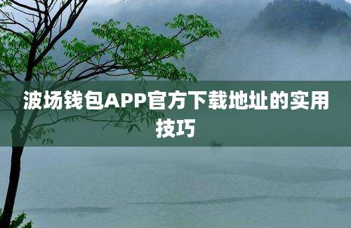 波场钱包APP官方下载地址的实用技巧