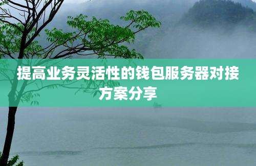 提高业务灵活性的钱包服务器对接方案分享