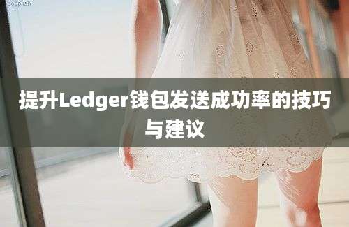 提升Ledger钱包发送成功率的技巧与建议