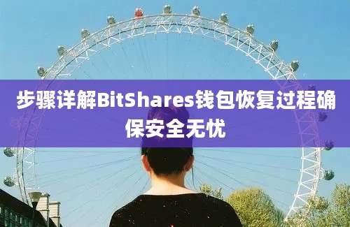 步骤详解BitShares钱包恢复过程确保安全无忧