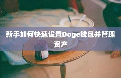 新手如何快速设置Doge钱包并管理资产