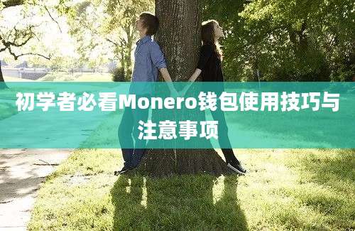 初学者必看Monero钱包使用技巧与注意事项