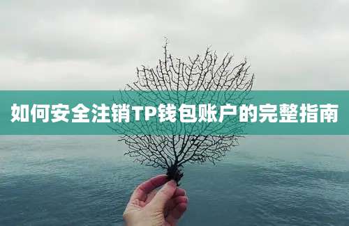 如何安全注销TP钱包账户的完整指南