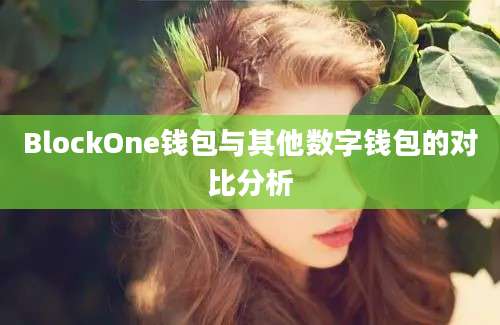 BlockOne钱包与其他数字钱包的对比分析