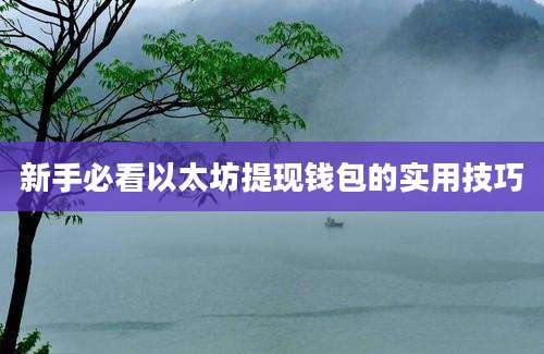 新手必看以太坊提现钱包的实用技巧