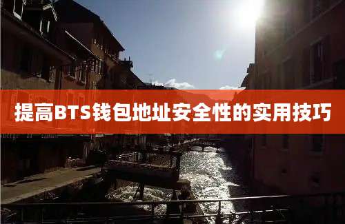 提高BTS钱包地址安全性的实用技巧