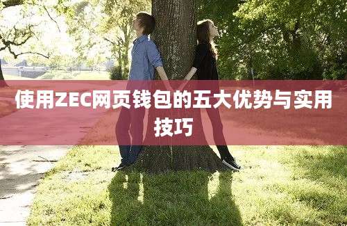 使用ZEC网页钱包的五大优势与实用技巧