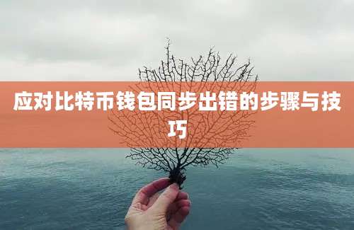 应对比特币钱包同步出错的步骤与技巧