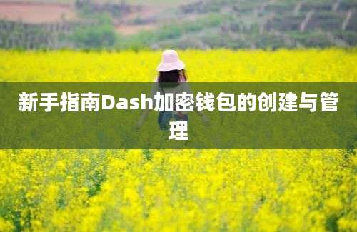 新手指南Dash加密钱包的创建与管理