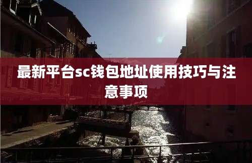 最新平台sc钱包地址使用技巧与注意事项