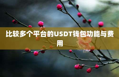 比较多个平台的USDT钱包功能与费用