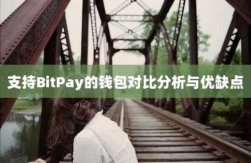 支持BitPay的钱包对比分析与优缺点